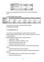 Prakses atskaite 'SIA "Lattelekom" finanšu darbības analīze', 31.