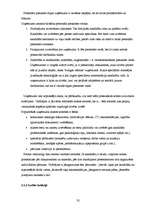 Prakses atskaite 'SIA "Lattelekom" finanšu darbības analīze', 32.