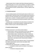 Prakses atskaite 'SIA "Lattelekom" finanšu darbības analīze', 33.