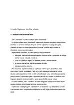 Prakses atskaite 'SIA "Lattelekom" finanšu darbības analīze', 48.