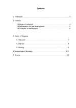 Referāts 'Volleyball', 2.