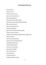 Referāts 'Volleyball', 10.