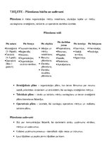 Referāts 'Vadības pamati', 9.