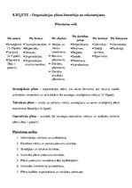 Referāts 'Vadības pamati', 11.