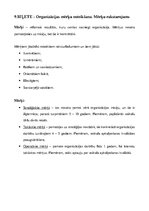 Referāts 'Vadības pamati', 13.