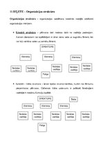 Referāts 'Vadības pamati', 15.