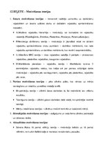 Referāts 'Vadības pamati', 18.