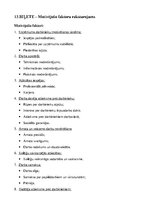 Referāts 'Vadības pamati', 20.