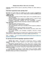 Eseja 'Risks nav tikai drauds, bet arī iespēja', 1.