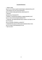 Referāts 'Makroekonomiskā situācija valstī un iespēja to stabilizēt', 16.