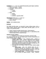 Konspekts 'Mūsdienu pasaule', 4.