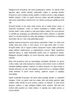 Eseja 'Dzīve bilingvālajā vidē', 4.