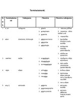 Konspekts 'Terminelementi latīņu valodā', 2.