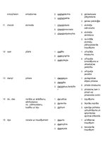 Konspekts 'Terminelementi latīņu valodā', 4.