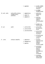 Konspekts 'Terminelementi latīņu valodā', 13.