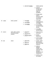 Konspekts 'Terminelementi latīņu valodā', 15.