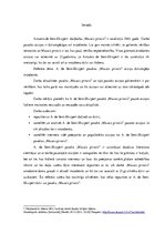 Referāts 'Antuāna de Sent-Ekziperī pasakas "Mazais princis" atziņu dzīvotspēja mūsdienās', 2.