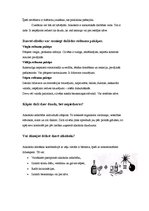 Referāts 'Alkohols', 5.