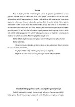 Referāts 'Radikāli labējo politisko spēku ideoloģisko pamatprincipu analīze - Latvijas un ', 3.