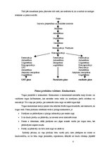 Referāts 'Ražošanas izmaksas un veikala cenas Jēkabpilī piena produktiem', 6.