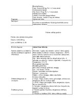 Prakses atskaite 'Prakses dienasgrāmata', 7.