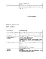 Prakses atskaite 'Prakses dienasgrāmata', 8.