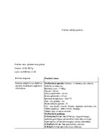 Prakses atskaite 'Prakses dienasgrāmata', 10.