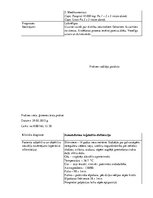 Prakses atskaite 'Prakses dienasgrāmata', 12.