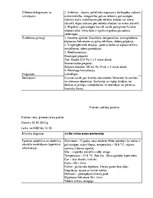 Prakses atskaite 'Prakses dienasgrāmata', 13.