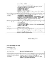 Prakses atskaite 'Prakses dienasgrāmata', 15.