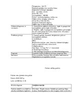 Prakses atskaite 'Prakses dienasgrāmata', 16.