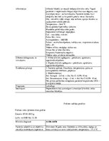 Prakses atskaite 'Prakses dienasgrāmata', 17.