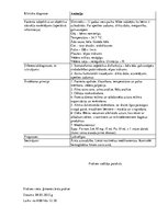 Prakses atskaite 'Prakses dienasgrāmata', 19.