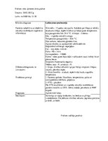 Prakses atskaite 'Prakses dienasgrāmata', 21.