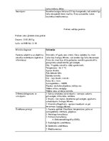 Prakses atskaite 'Prakses dienasgrāmata', 25.