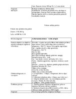 Prakses atskaite 'Prakses dienasgrāmata', 26.