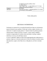 Prakses atskaite 'Prakses dienasgrāmata', 28.