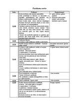 Konspekts 'Pasākuma "Brazīlijas sapnis" darbības plāns', 3.