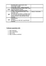 Konspekts 'Pasākuma "Brazīlijas sapnis" darbības plāns', 4.