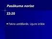 Konspekts 'Pasākuma "Brazīlijas sapnis" darbības plāns', 20.