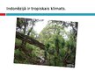 Prezentācija 'Indonēzija', 23.