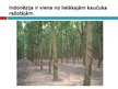 Prezentācija 'Indonēzija', 44.