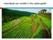 Prezentācija 'Indonēzija', 45.