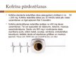 Prezentācija 'Kofeīns', 8.