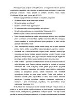 Referāts 'SIA "Rotaļlietas" merčendaizinga izpēte un pilnveidošanas iespējas', 4.