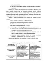 Referāts 'SIA "Rotaļlietas" merčendaizinga izpēte un pilnveidošanas iespējas', 6.