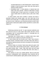 Referāts 'SIA "Rotaļlietas" merčendaizinga izpēte un pilnveidošanas iespējas', 9.