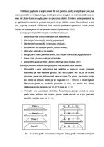 Referāts 'SIA "Rotaļlietas" merčendaizinga izpēte un pilnveidošanas iespējas', 10.