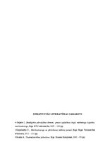 Referāts 'SIA "Rotaļlietas" merčendaizinga izpēte un pilnveidošanas iespējas', 19.