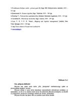 Referāts 'SIA "Rotaļlietas" merčendaizinga izpēte un pilnveidošanas iespējas', 20.